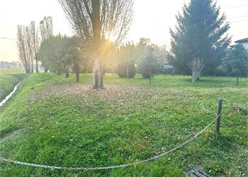 Terreno Agricolo In Vendita a Spinea